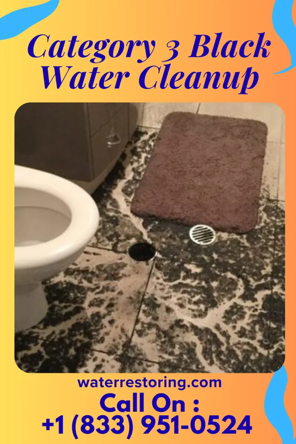 Category 3 Black Water Cleanup in Rathbun, IA