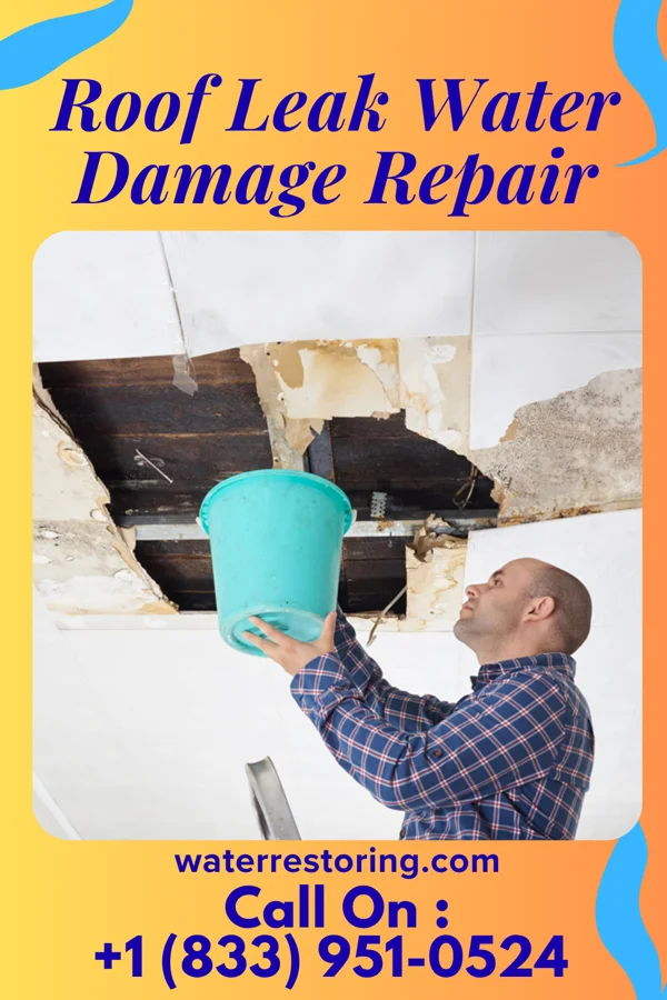 Roof Leak Water Damage Repair in Rathbun, IA
