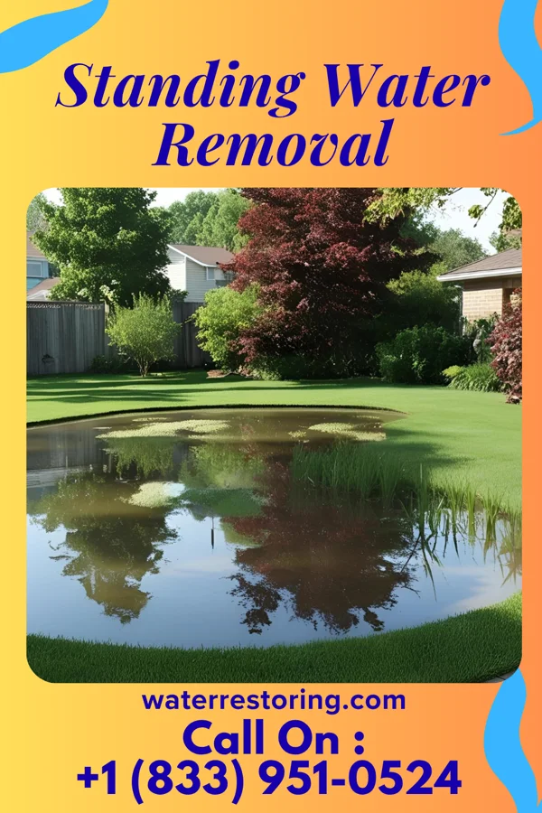 Standing Water Removal in Rathbun, IA